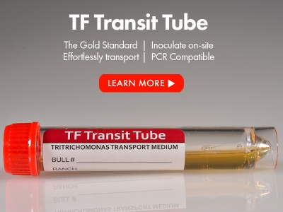 TF Transit Tube
